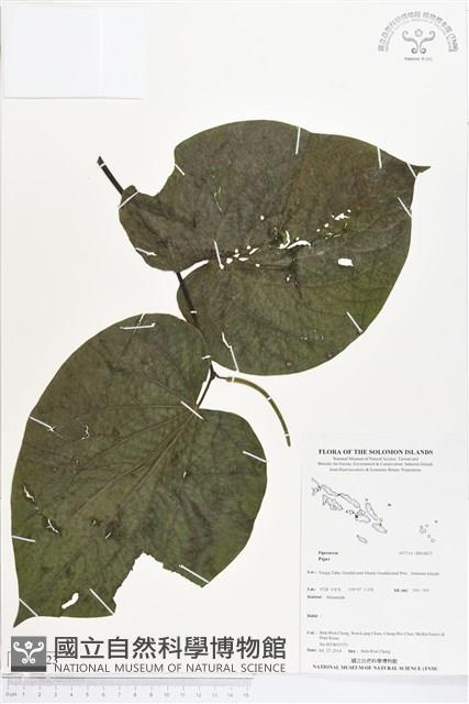 登錄號:BS04823藏品圖，第1張