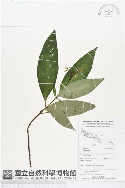 登錄號:BS03823藏品圖，第1張