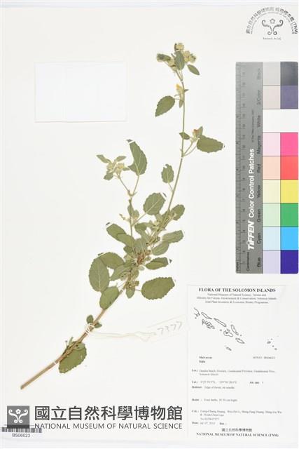 登錄號:BS06023藏品圖，第1張