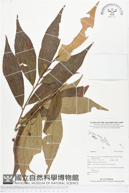 登錄號:BS02023藏品圖，第1張