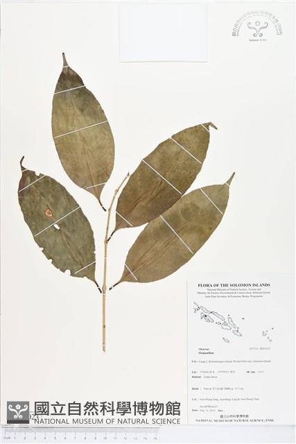 Accession Number:BS05023 Collection Image