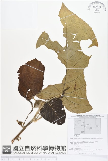 登錄號:BS01623藏品圖，第1張