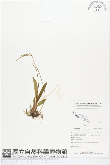 登錄號:BS02123藏品圖，第1張