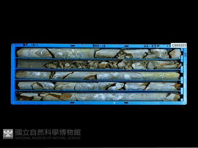 登錄號:C005223藏品圖，第1張