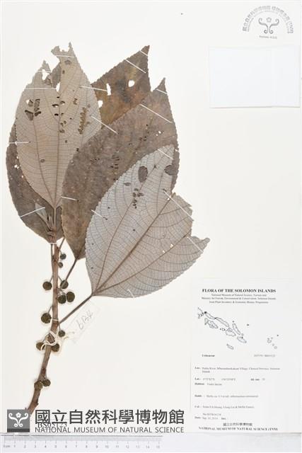 登錄號:BS05123藏品圖，第1張