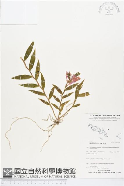 登錄號:BS04123藏品圖，第1張