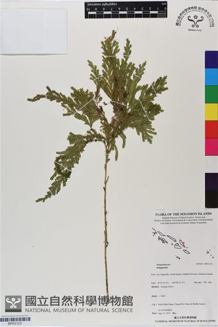 登錄號:BP03123藏品圖，第1張