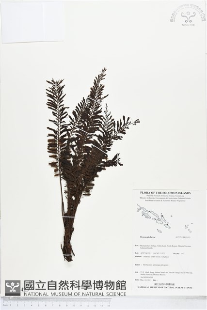 登錄號:BP02423藏品圖，第1張