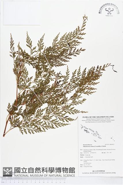 登錄號:BP00423藏品圖，第1張