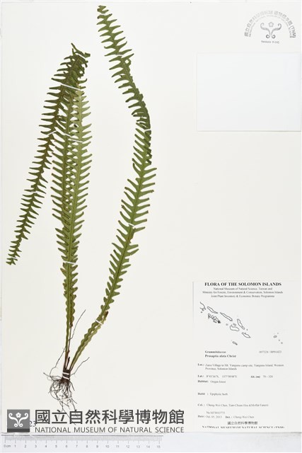 登錄號:BP01423藏品圖，第1張