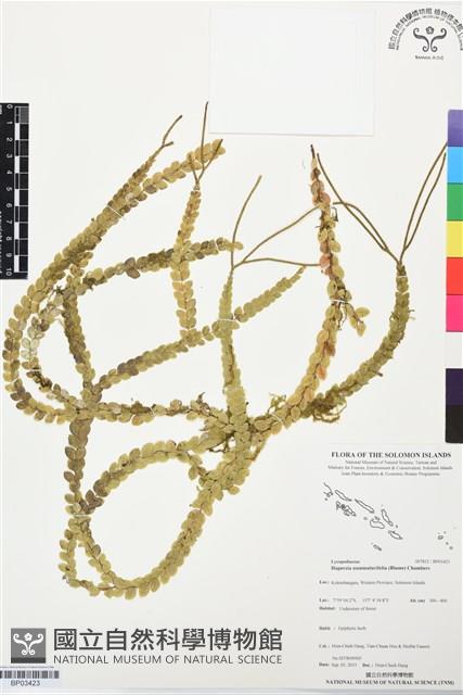 登錄號:BP03423藏品圖，第1張