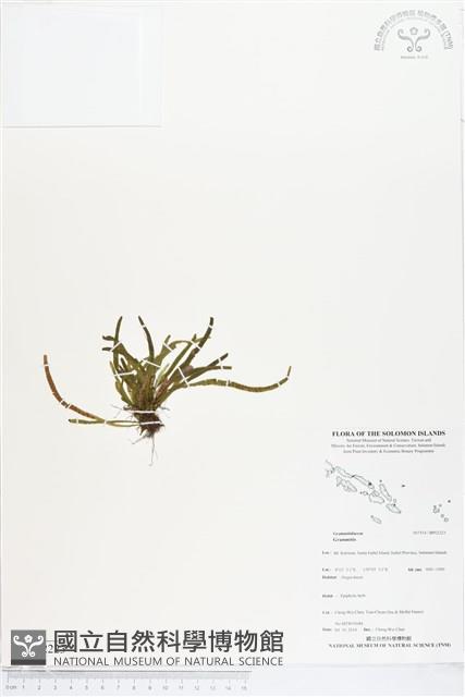 登錄號:BP02223藏品圖，第1張