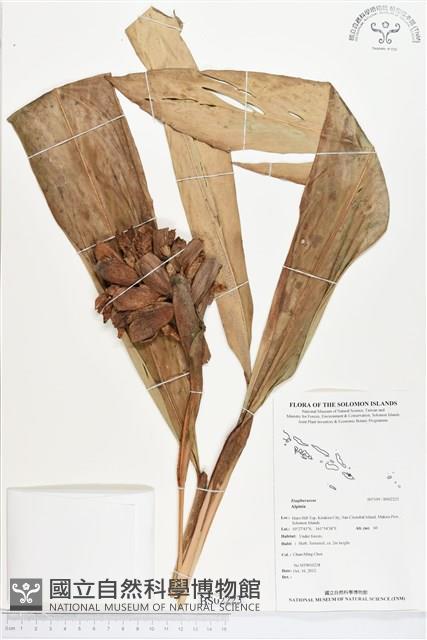 登錄號:BS02223藏品圖，第1張