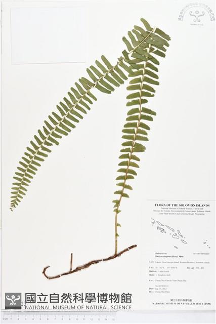 登錄號:BP00223藏品圖，第1張