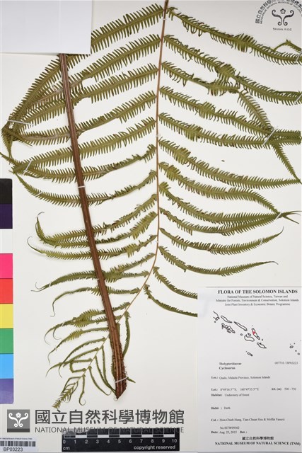 登錄號:BP03223藏品圖，第1張