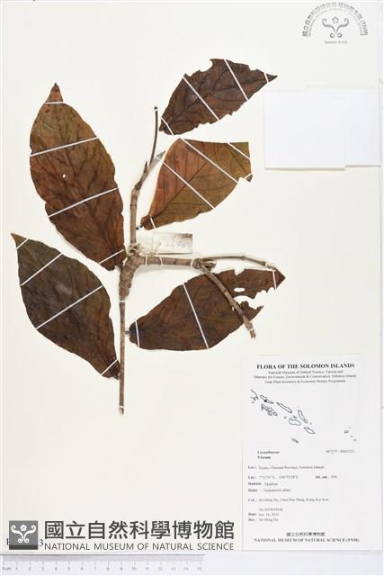 登錄號:BS03223藏品圖，第1張