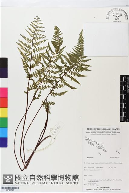 登錄號:BP02723藏品圖，第1張