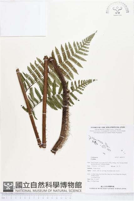 登錄號:BP00723藏品圖，第1張