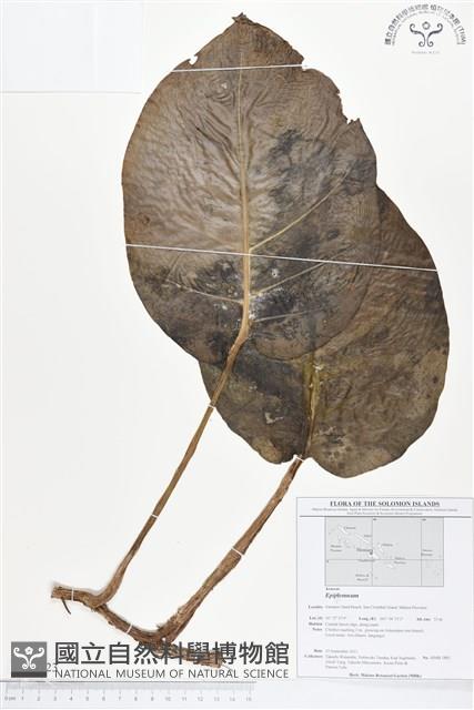 登錄號:BS01723藏品圖，第1張