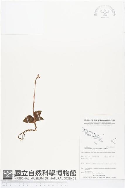 登錄號:BS04723藏品圖，第1張