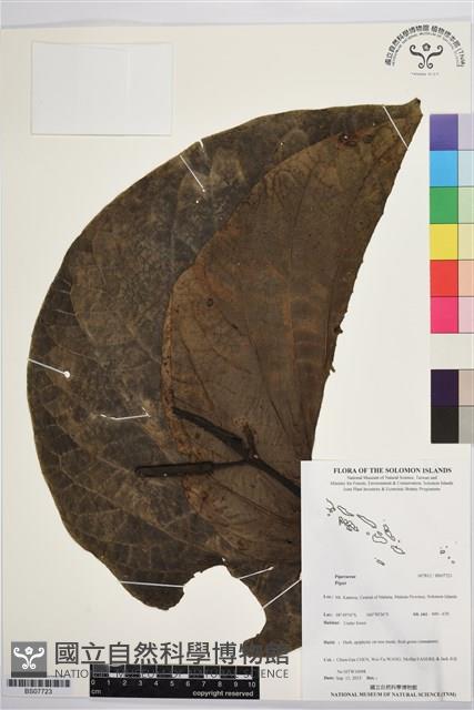 登錄號:BS07723藏品圖，第1張