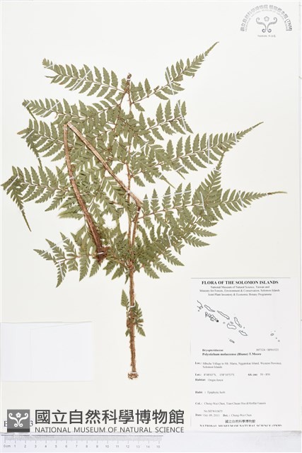 登錄號:BP01523藏品圖，第1張