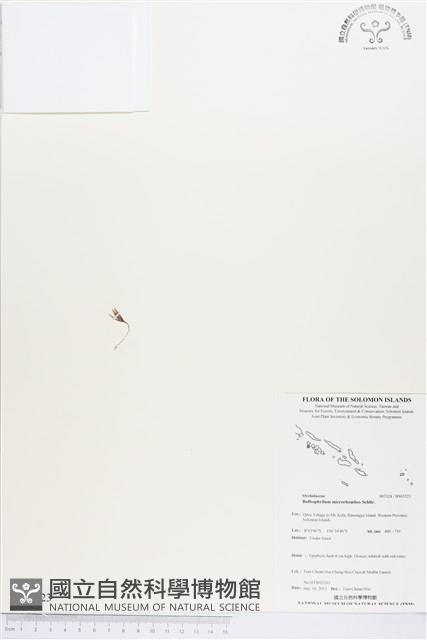 登錄號:BS03523藏品圖，第1張