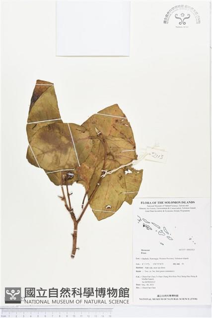 登錄號:BS02923藏品圖，第1張