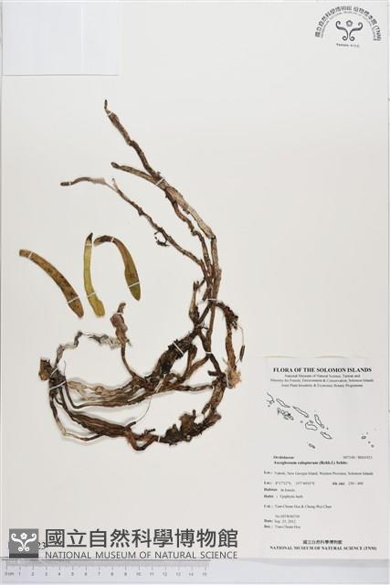 登錄號:BS01923藏品圖，第1張