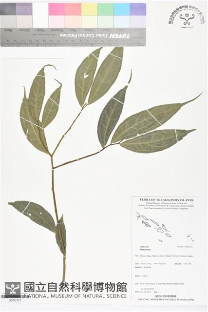 登錄號:BS06323藏品圖，第1張