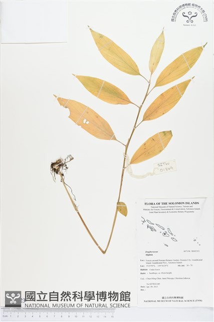 登錄號:BS02323藏品圖，第1張