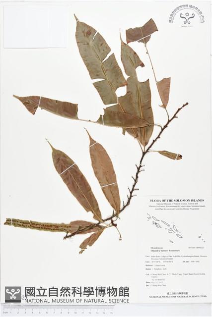 登錄號:BP00323藏品圖，第1張