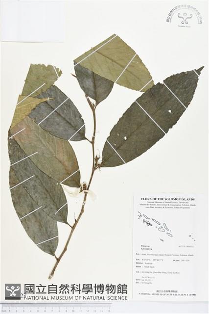 登錄號:BS03323藏品圖，第1張