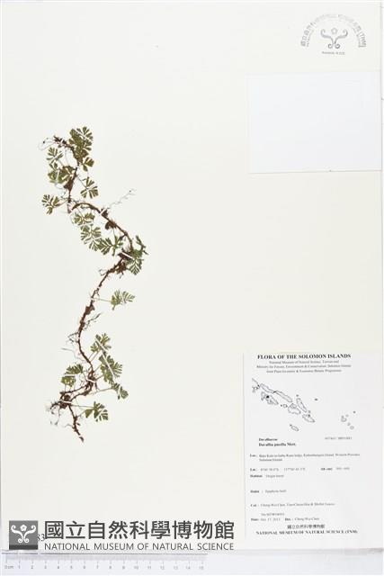 登錄號:BP01883藏品圖，第1張