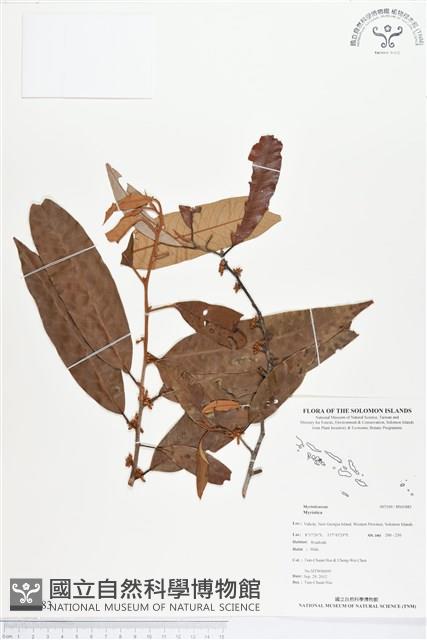 登錄號:BS01883藏品圖，第1張