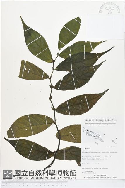 登錄號:BS04883藏品圖，第1張
