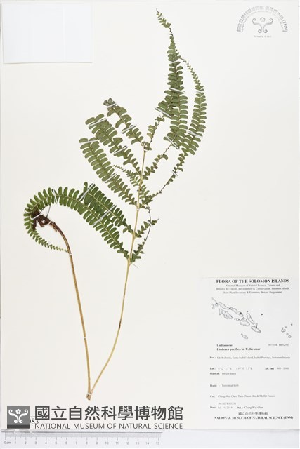 登錄號:BP02083藏品圖，第1張