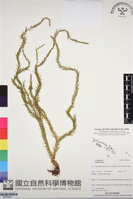 登錄號:BP03083藏品圖，第1張