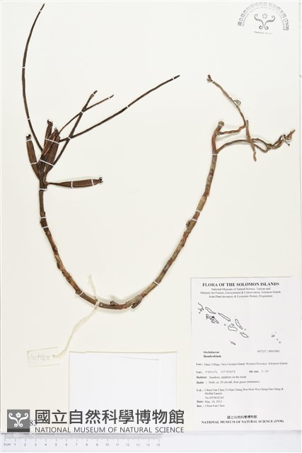登錄號:BS03083藏品圖，第1張