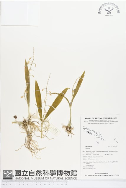 登錄號:BS02683藏品圖，第1張