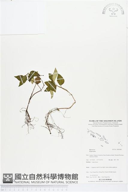 登錄號:BS03683藏品圖，第1張