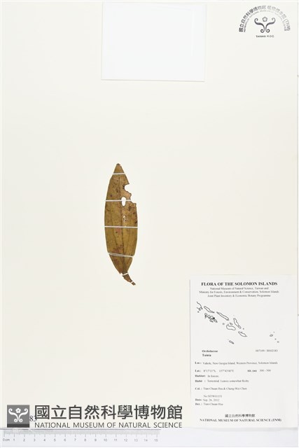 登錄號:BS02183藏品圖，第1張