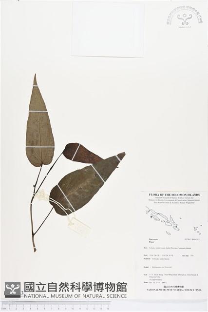 登錄號:BS04183藏品圖，第1張