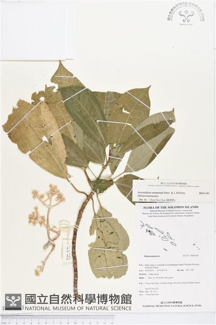 登錄號:BS03183藏品圖，第1張