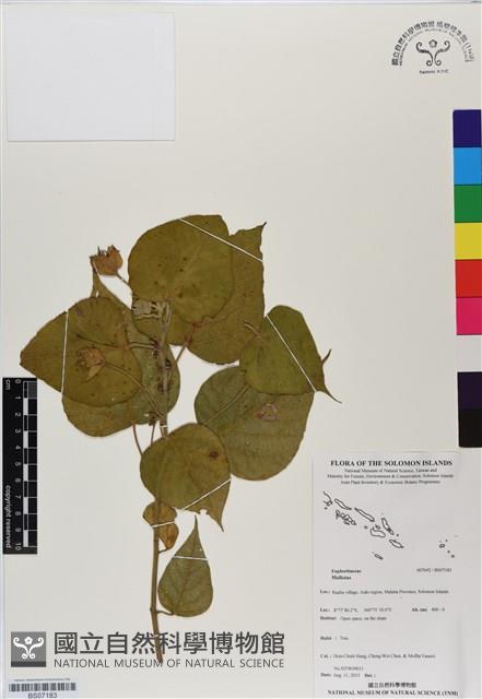 登錄號:BS07183藏品圖，第1張