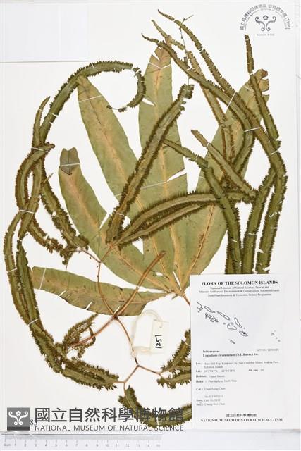 登錄號:BP00483藏品圖，第1張