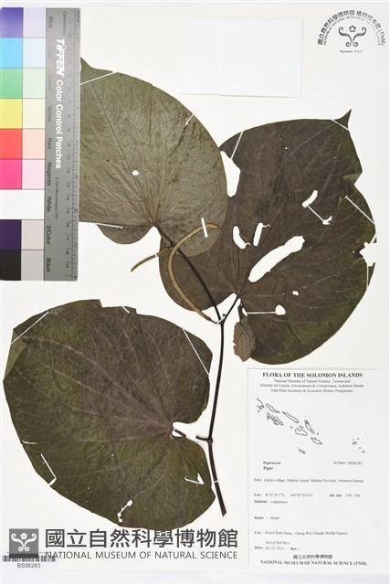登錄號:BS06283藏品圖，第1張