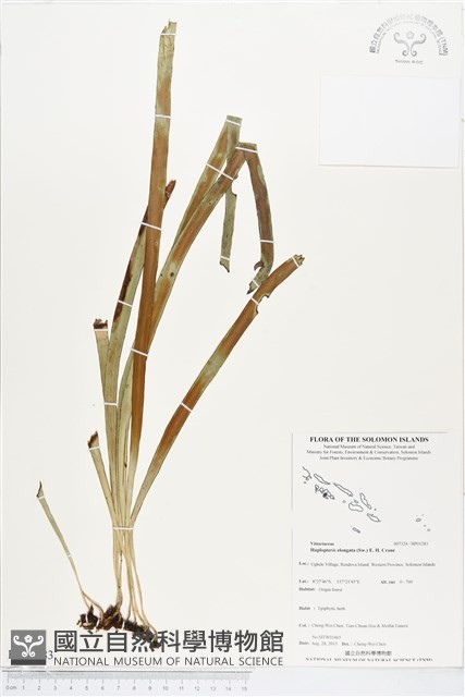 登錄號:BP01283藏品圖，第1張