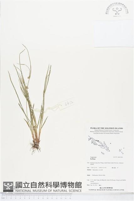 登錄號:BS05283藏品圖，第1張