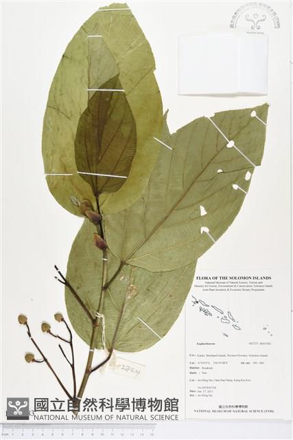 登錄號:BS03283藏品圖，第1張